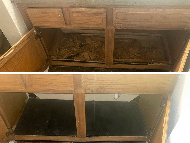 Description of the image