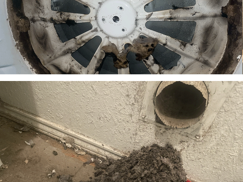 Description of the image